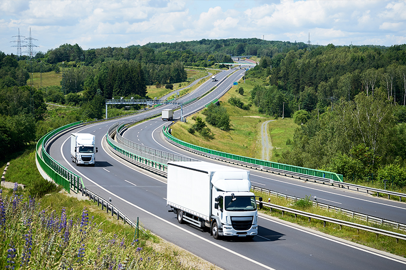 Orion Transports et Logistique à Genas